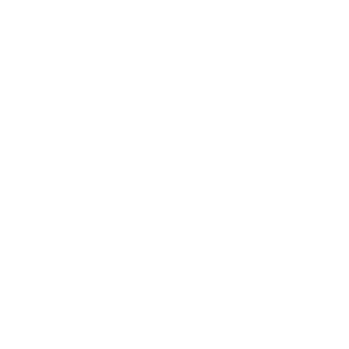 Logo Rauber SST